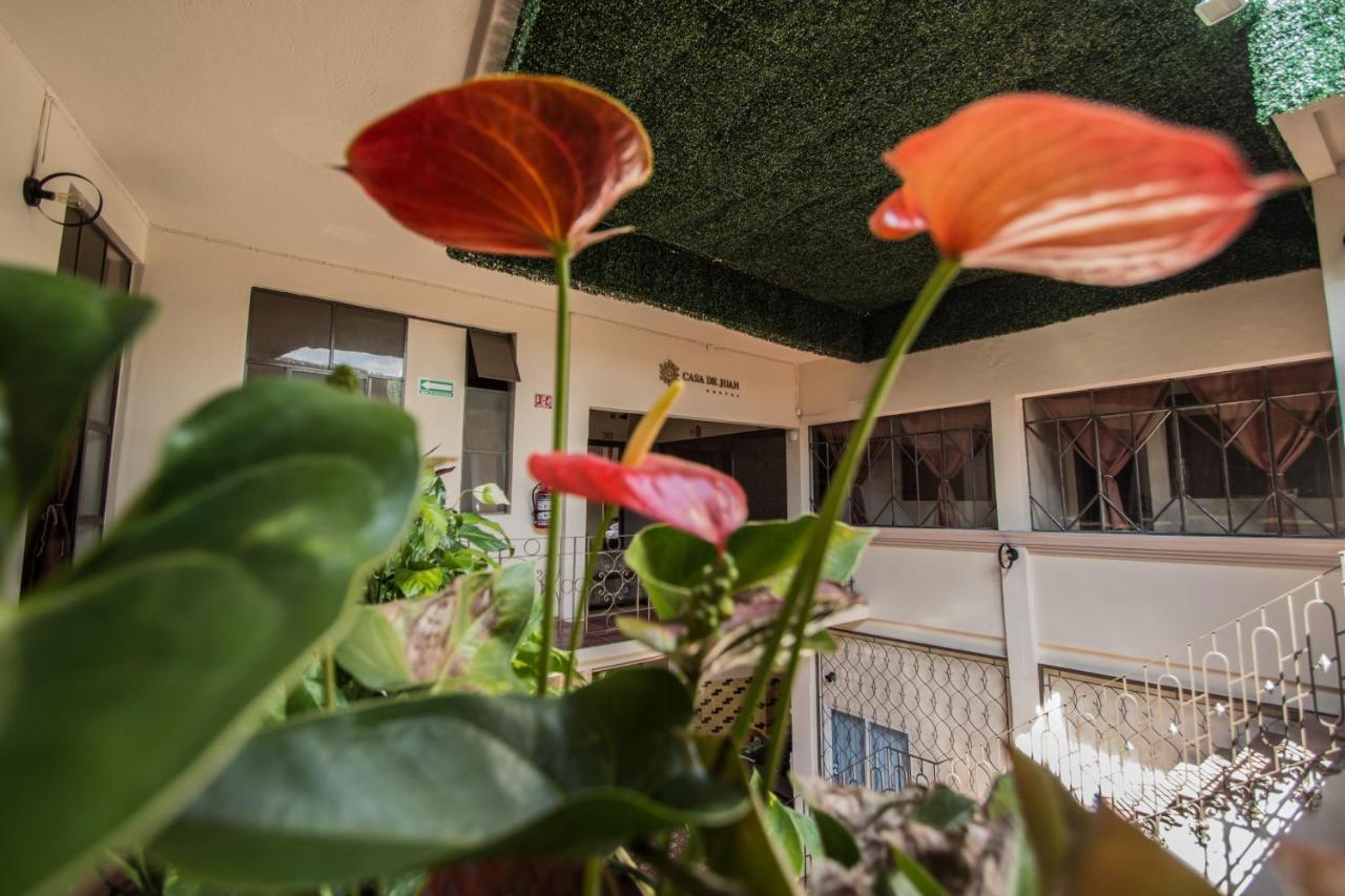Casa De Juan Hostal Xalapa Ngoại thất bức ảnh